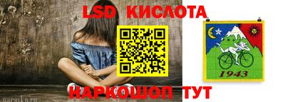 тгк Новодвинск