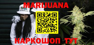 тгк Новодвинск