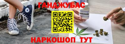 тгк Новодвинск