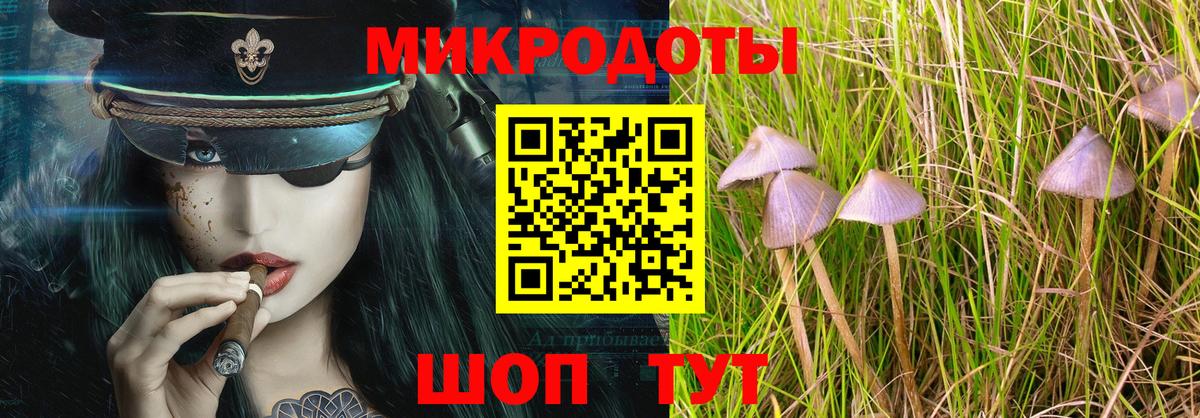 Псилоцибиновые грибы мухоморы Сосновый Бор