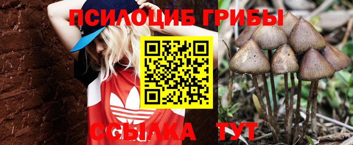 Галлюциногенные грибы Magic Shrooms  Вход с VPN  Сосновый Бор 
